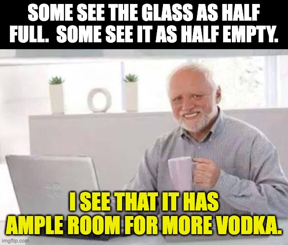 glass | SOME SEE THE GLASS AS HALF FULL.  SOME SEE IT AS HALF EMPTY. I SEE THAT IT HAS AMPLE ROOM FOR MORE VODKA. | image tagged in harold | made w/ Imgflip meme maker