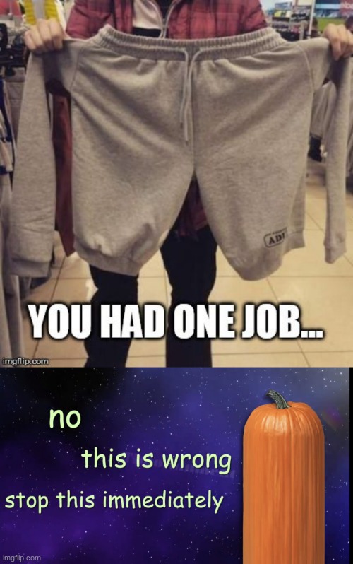 What is this sh*t (mod note: they’re shants or sh*ts) (other mod note: I agree with the shits one.) | image tagged in pumpkin facts | made w/ Imgflip meme maker