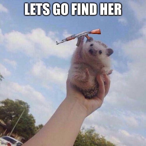 lets go | LETS GO FIND HER | image tagged in lets go | made w/ Imgflip meme maker