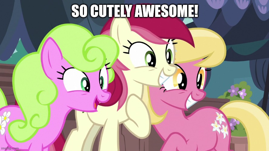 SO CUTELY AWESOME! | made w/ Imgflip meme maker