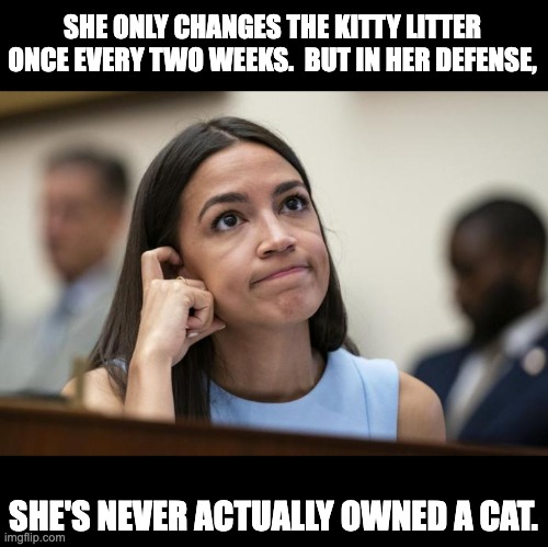 AOC | SHE ONLY CHANGES THE KITTY LITTER ONCE EVERY TWO WEEKS.  BUT IN HER DEFENSE, SHE'S NEVER ACTUALLY OWNED A CAT. | image tagged in aoc scratches her empty head | made w/ Imgflip meme maker