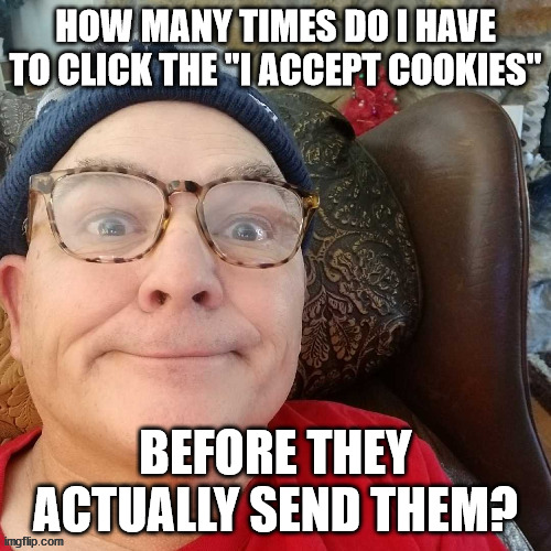 durl earl | HOW MANY TIMES DO I HAVE TO CLICK THE "I ACCEPT COOKIES"; BEFORE THEY ACTUALLY SEND THEM? | image tagged in durl earl | made w/ Imgflip meme maker