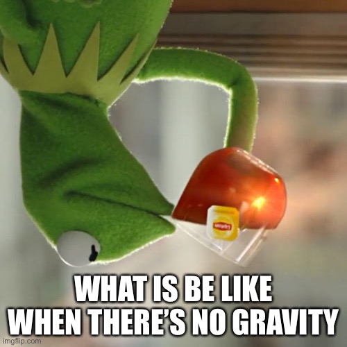 Big brain | WHAT IS BE LIKE WHEN THERE’S NO GRAVITY | image tagged in memes,but that's none of my business,kermit the frog | made w/ Imgflip meme maker