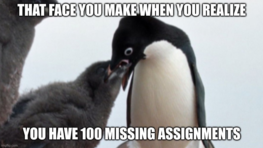 THAT FACE YOU MAKE WHEN YOU REALIZE; YOU HAVE 100 MISSING ASSIGNMENTS | image tagged in screaming penguin | made w/ Imgflip meme maker