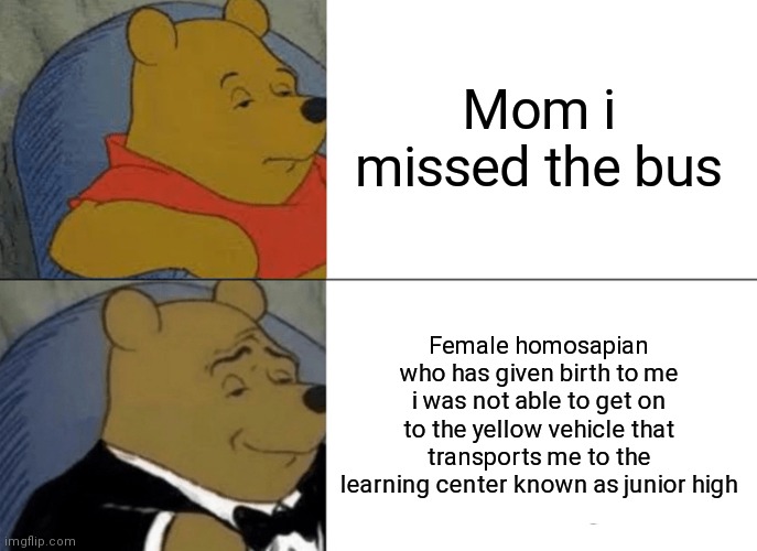 Tuxedo Winnie The Pooh | Mom i missed the bus; Female homosapian who has given birth to me i was not able to get on to the yellow vehicle that transports me to the learning center known as junior high | image tagged in memes,tuxedo winnie the pooh | made w/ Imgflip meme maker