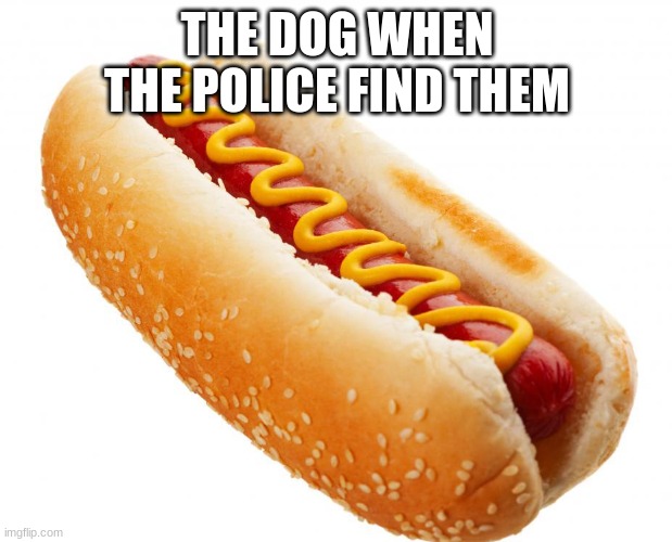 Hotdog | THE DOG WHEN THE POLICE FIND THEM | image tagged in hotdog | made w/ Imgflip meme maker