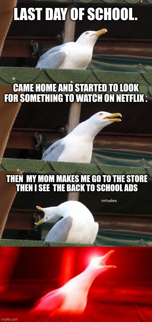 never go to any store in the summer | LAST DAY OF SCHOOL. CAME HOME AND STARTED TO LOOK FOR SOMETHING TO WATCH ON NETFLIX . THEN  MY MOM MAKES ME GO TO THE STORE 
THEN I SEE  THE BACK TO SCHOOL ADS | image tagged in inhaling seagull 4 red,tough,sad,true,memes,meme | made w/ Imgflip meme maker