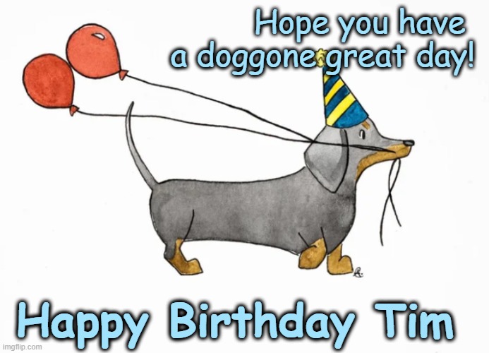 Happy Birthday Tim | Hope you have 
a doggone great day! Happy Birthday Tim | image tagged in happy birthday,tim,dachshund | made w/ Imgflip meme maker