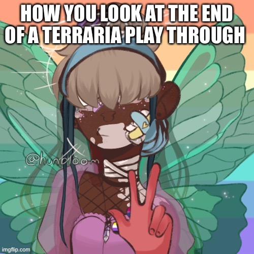 Terraria endgame Vanity be like | HOW YOU LOOK AT THE END OF A TERRARIA PLAY THROUGH | image tagged in terraria,video games | made w/ Imgflip meme maker