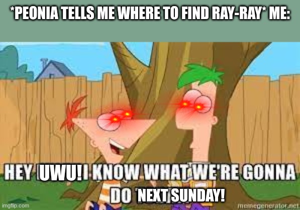 * Triggered Shiny Ray-Ray noises* | *PEONIA TELLS ME WHERE TO FIND RAY-RAY* ME:; UWU! NEXT SUNDAY! | image tagged in hey ferb i know what we're gonna do today | made w/ Imgflip meme maker