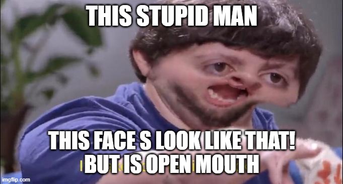 ok no title | THIS STUPID MAN; THIS FACE S LOOK LIKE THAT!
BUT IS OPEN MOUTH | image tagged in i'll take your entire stock,stupid,meme man | made w/ Imgflip meme maker