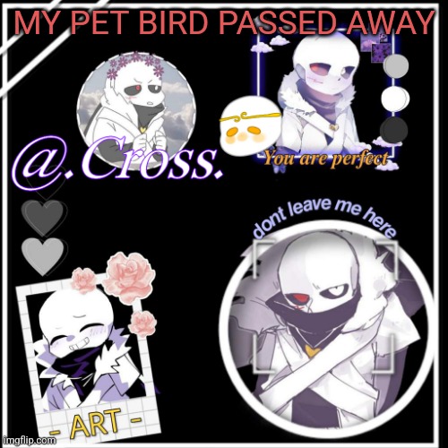 xunnn | MY PET BIRD PASSED AWAY | image tagged in xunnn | made w/ Imgflip meme maker