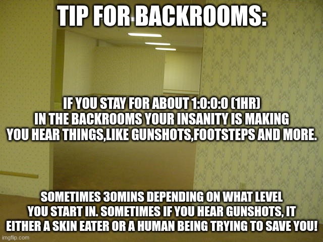 The Backrooms | TIP FOR BACKROOMS:; IF YOU STAY FOR ABOUT 1:0:0:0 (1HR) IN THE BACKROOMS YOUR INSANITY IS MAKING YOU HEAR THINGS,LIKE GUNSHOTS,FOOTSTEPS AND MORE. SOMETIMES 30MINS DEPENDING ON WHAT LEVEL YOU START IN. SOMETIMES IF YOU HEAR GUNSHOTS, IT EITHER A SKIN EATER OR A HUMAN BEING TRYING TO SAVE YOU! | image tagged in the backrooms | made w/ Imgflip meme maker