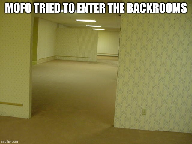 The Backrooms | MOFO TRIED TO ENTER THE BACKROOMS | image tagged in the backrooms | made w/ Imgflip meme maker