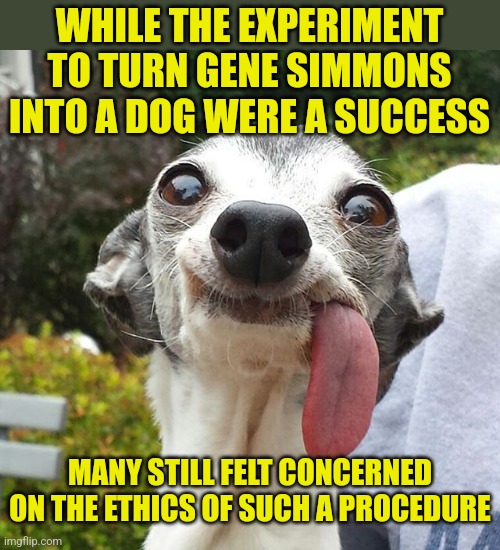 If you could become a dog, what would you look like? | WHILE THE EXPERIMENT TO TURN GENE SIMMONS INTO A DOG WERE A SUCCESS; MANY STILL FELT CONCERNED ON THE ETHICS OF SUCH A PROCEDURE | image tagged in dog tongue,kiss,transform,modern problems | made w/ Imgflip meme maker