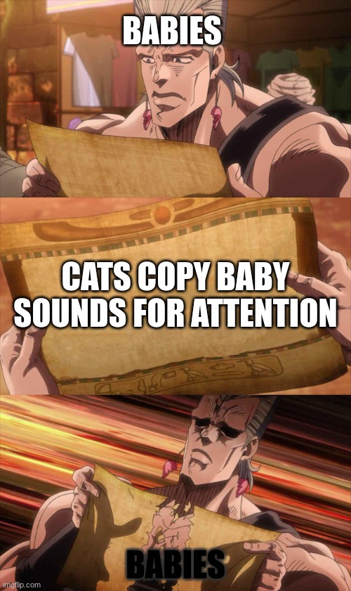 JoJo Scroll Of Truth | BABIES; CATS COPY BABY SOUNDS FOR ATTENTION; BABIES | image tagged in jojo scroll of truth | made w/ Imgflip meme maker