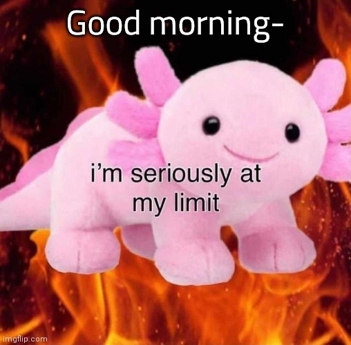 At my limit | Good morning- | image tagged in at my limit | made w/ Imgflip meme maker