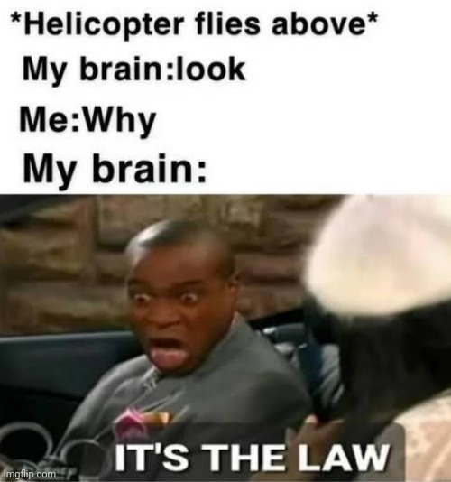 image tagged in helicopter,brain,law | made w/ Imgflip meme maker