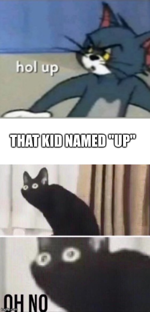 Hol "up" | THAT KID NAMED "UP" | image tagged in hol up,blank white template,oh no cat | made w/ Imgflip meme maker