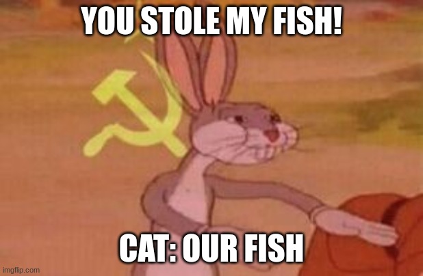 our | YOU STOLE MY FISH! CAT: OUR FISH | image tagged in our | made w/ Imgflip meme maker