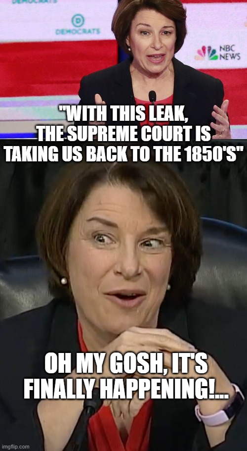 "WITH THIS LEAK, THE SUPREME COURT IS TAKING US BACK TO THE 1850'S"; OH MY GOSH, IT'S FINALLY HAPPENING!... | image tagged in amy klobuchar,u s senator amy klobuchar | made w/ Imgflip meme maker