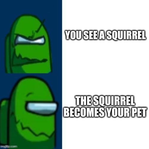 Story: The Squirrel | YOU SEE A SQUIRREL; THE SQUIRREL BECOMES YOUR PET | image tagged in green impostor becoming happy | made w/ Imgflip meme maker