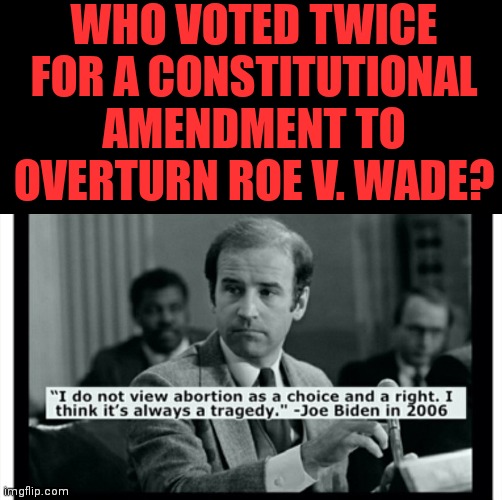 Who voted twice for a Constitutional Amendment to overturn Roe v. Wade? | WHO VOTED TWICE FOR A CONSTITUTIONAL AMENDMENT TO OVERTURN ROE V. WADE? | image tagged in abortion is murder | made w/ Imgflip meme maker