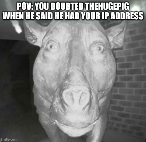 Never doubt the power of THP | POV: YOU DOUBTED THEHUGEPIG WHEN HE SAID HE HAD YOUR IP ADDRESS | image tagged in pig staring at doorbell | made w/ Imgflip meme maker
