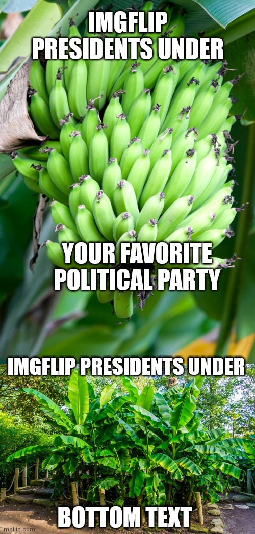 Where banana? | IMGFLIP PRESIDENTS UNDER; YOUR FAVORITE POLITICAL PARTY; IMGFLIP PRESIDENTS UNDER; BOTTOM TEXT | image tagged in banana,where banana,politics lol | made w/ Imgflip meme maker