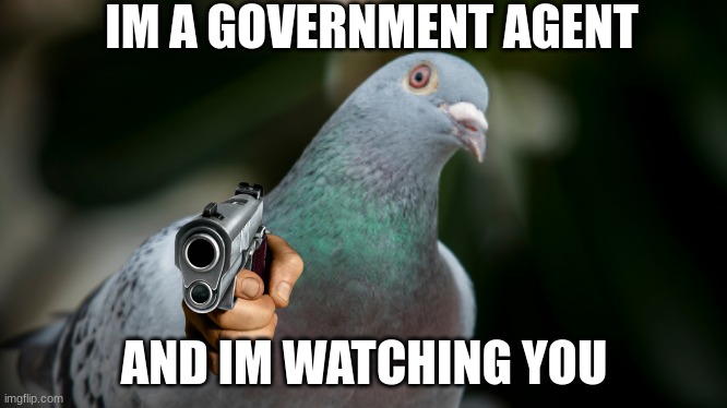  IM A GOVERNMENT AGENT; AND IM WATCHING YOU | image tagged in pigeon | made w/ Imgflip meme maker