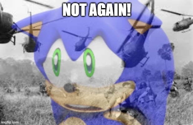 Sonic veitnam war | NOT AGAIN! | image tagged in sonic veitnam war | made w/ Imgflip meme maker