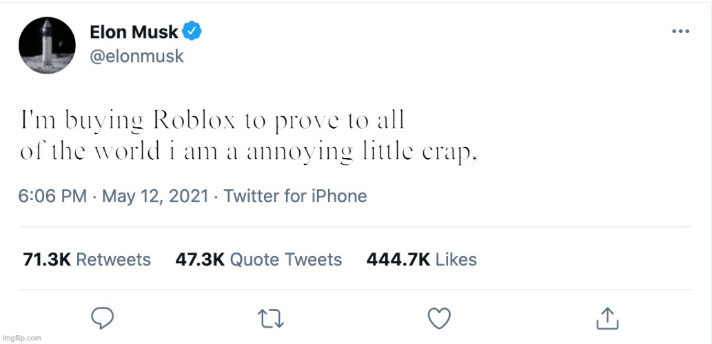 Elon Musk Blank Tweet | I'm buying Roblox to prove to all of the world i am a annoying little crap, | image tagged in elon musk blank tweet | made w/ Imgflip meme maker
