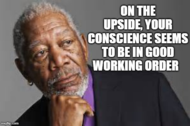 Deep Thoughts By Morgan Freeman  | ON THE UPSIDE, YOUR CONSCIENCE SEEMS TO BE IN GOOD WORKING ORDER | image tagged in deep thoughts by morgan freeman | made w/ Imgflip meme maker