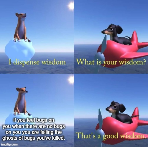 Wisdom dog |  if you feel bugs on you when there are no bugs on you you are felling the ghosts of bugs you've killed. | image tagged in wisdom dog | made w/ Imgflip meme maker