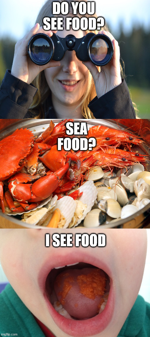 Blank White Template | DO YOU SEE FOOD? SEA FOOD? I SEE FOOD | image tagged in blank white template | made w/ Imgflip meme maker