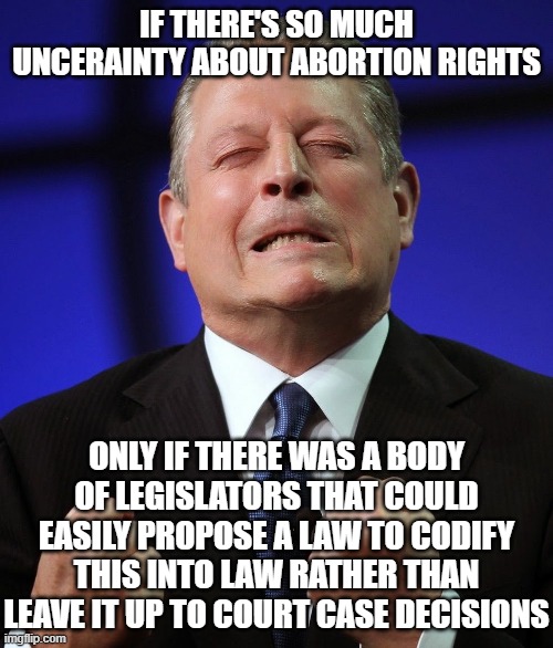 Al gore | IF THERE'S SO MUCH UNCERAINTY ABOUT ABORTION RIGHTS; ONLY IF THERE WAS A BODY OF LEGISLATORS THAT COULD EASILY PROPOSE A LAW TO CODIFY THIS INTO LAW RATHER THAN LEAVE IT UP TO COURT CASE DECISIONS | image tagged in al gore | made w/ Imgflip meme maker
