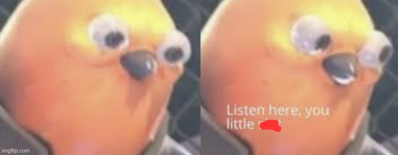 Listen here you little shit bird | image tagged in listen here you little shit bird | made w/ Imgflip meme maker
