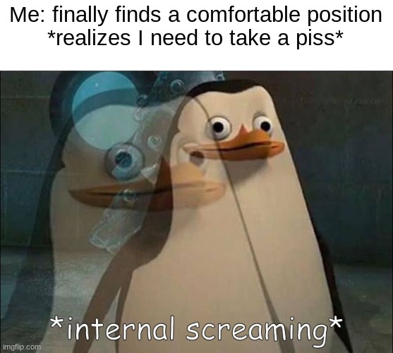 dont you hate when this happens | Me: finally finds a comfortable position
*realizes I need to take a piss* | image tagged in private internal screaming,piss | made w/ Imgflip meme maker