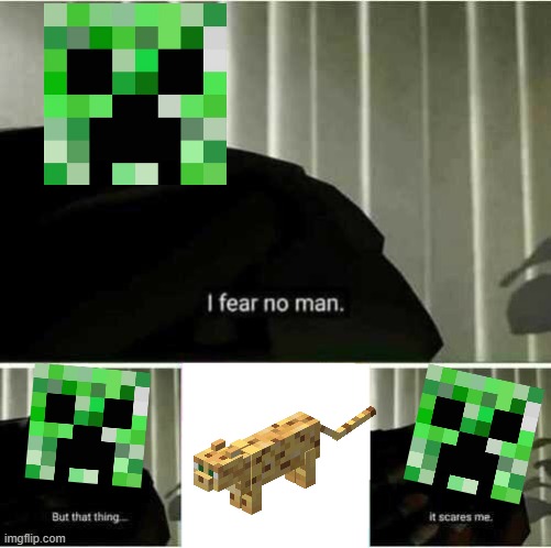Creeper: "That ocelot, it scares me!" | image tagged in i fear no man,minecraft creeper | made w/ Imgflip meme maker