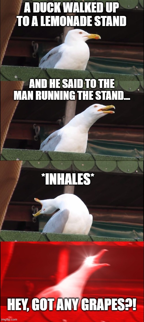 Inhaling Seagull | A DUCK WALKED UP TO A LEMONADE STAND; AND HE SAID TO THE MAN RUNNING THE STAND... *INHALES*; HEY, GOT ANY GRAPES?! | image tagged in memes,inhaling seagull | made w/ Imgflip meme maker