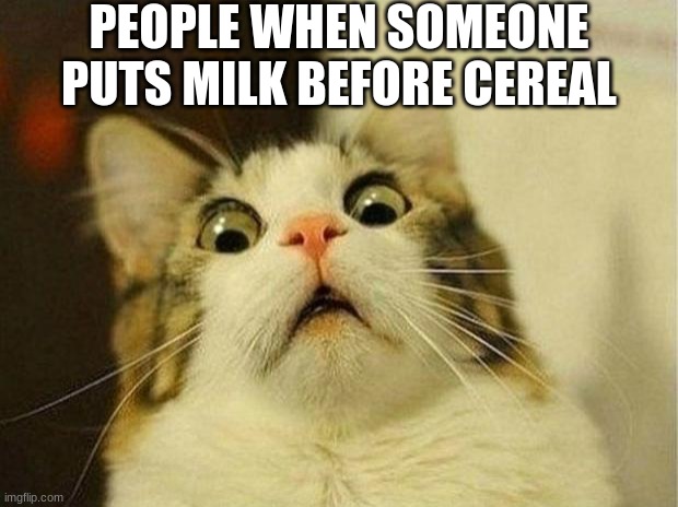 Hello =D |  PEOPLE WHEN SOMEONE PUTS MILK BEFORE CEREAL | image tagged in memes,scared cat,funny,fun | made w/ Imgflip meme maker