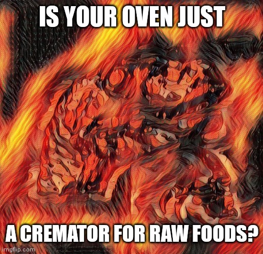 (A Very Slow Cremator) | IS YOUR OVEN JUST; A CREMATOR FOR RAW FOODS? | image tagged in flaming philosoraptor,fire,philosoraptor,food,cooking | made w/ Imgflip meme maker