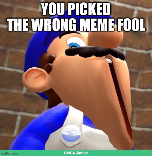 sorry for this due to my old account had some issues | YOU PICKED THE WRONG MEME FOOL | image tagged in smg4's face | made w/ Imgflip meme maker