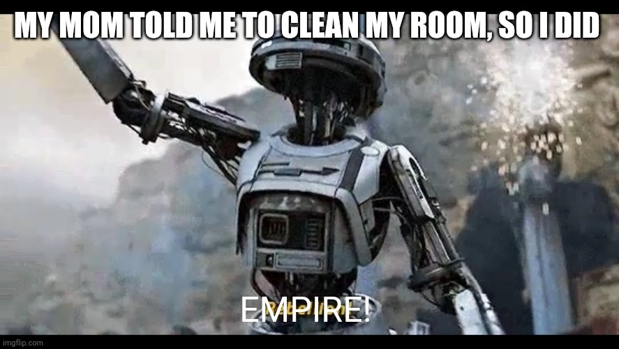 Oh ok | MY MOM TOLD ME TO CLEAN MY ROOM, SO I DID; EMPIRE! | image tagged in rebellion | made w/ Imgflip meme maker