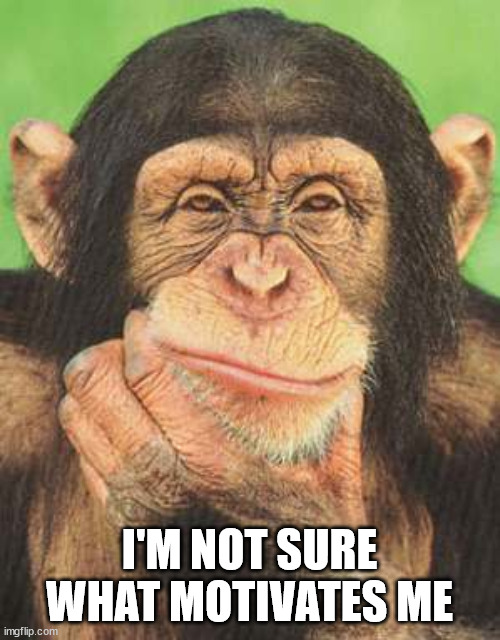 chimpanzee thinking | I'M NOT SURE WHAT MOTIVATES ME | image tagged in chimpanzee thinking | made w/ Imgflip meme maker