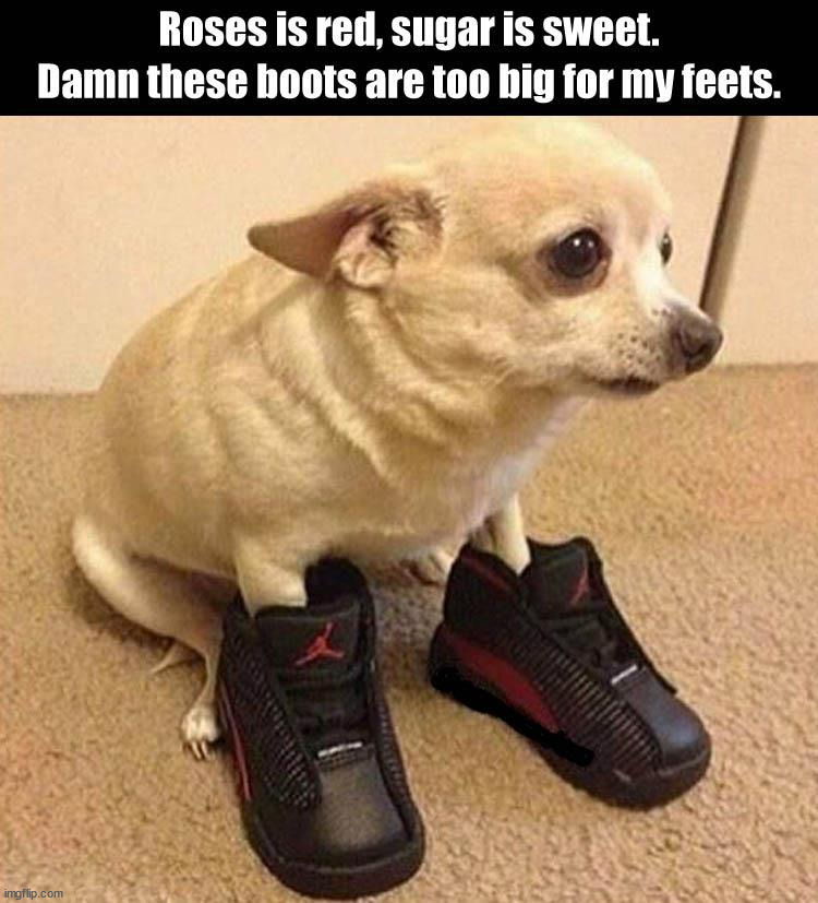 image tagged in dogs | made w/ Imgflip meme maker
