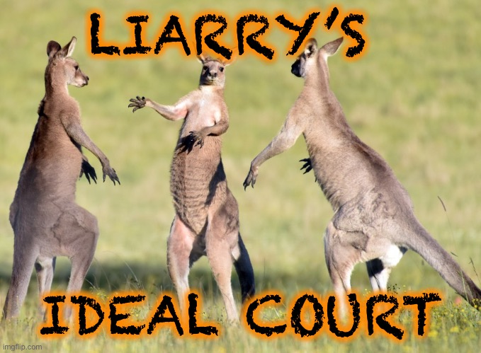 LIARRY’S IDEAL COURT | made w/ Imgflip meme maker