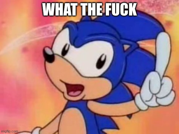 Sonic Sez | WHAT THE FUCK | image tagged in sonic sez | made w/ Imgflip meme maker