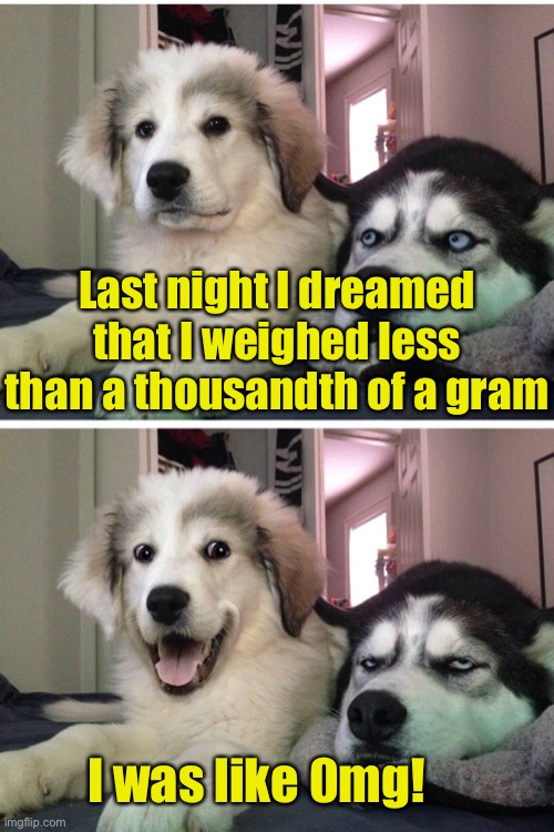 Bad pun dogs | Last night I dreamed that I weighed less than a thousandth of a gram; I was like 0mg! | image tagged in bad pun dogs,bad pun | made w/ Imgflip meme maker