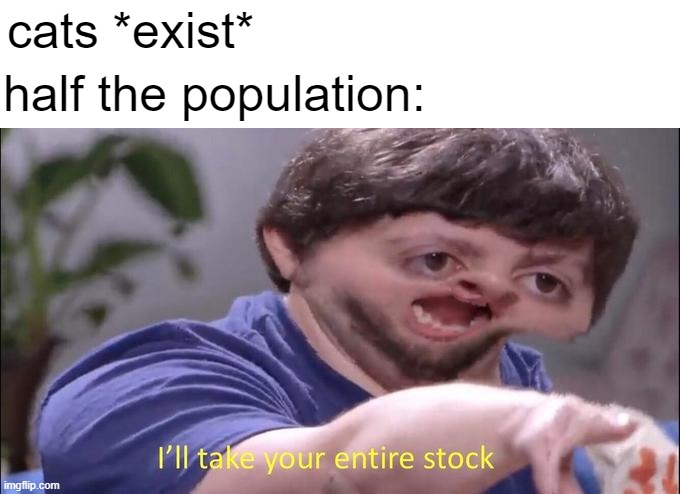 I'll take you entire stock | cats *exist*; half the population: | image tagged in i'll take you entire stock,cats,cat,funny | made w/ Imgflip meme maker
